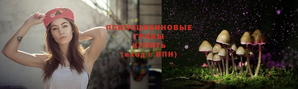 гашик Белокуриха