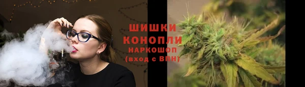 гашик Белокуриха