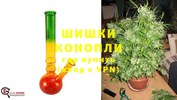 гашик Белокуриха
