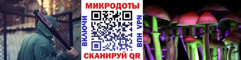 Купить где  Снежинск  Псилоцибиновые грибы Magic Shrooms 